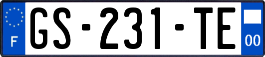 GS-231-TE