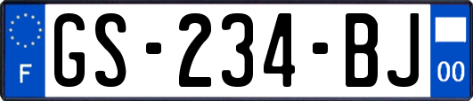 GS-234-BJ