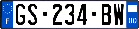 GS-234-BW