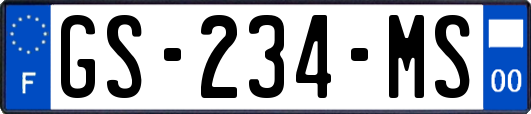 GS-234-MS
