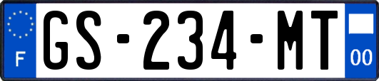 GS-234-MT