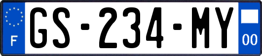 GS-234-MY