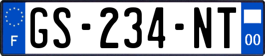 GS-234-NT
