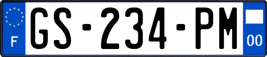GS-234-PM