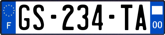 GS-234-TA