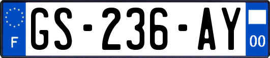 GS-236-AY