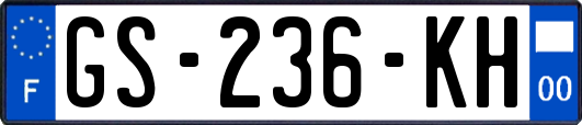 GS-236-KH
