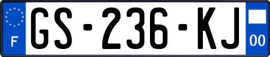 GS-236-KJ