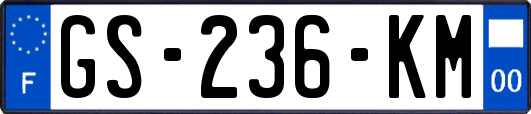 GS-236-KM