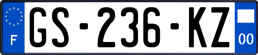 GS-236-KZ