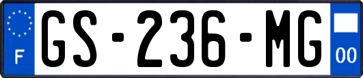 GS-236-MG
