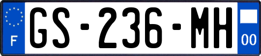 GS-236-MH