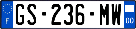GS-236-MW