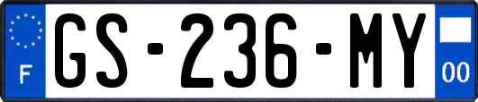 GS-236-MY