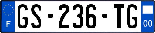 GS-236-TG