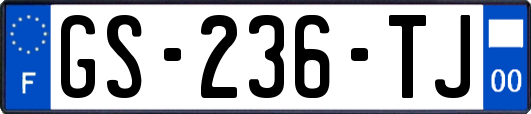 GS-236-TJ