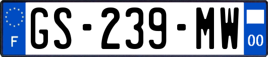 GS-239-MW