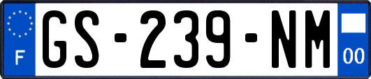 GS-239-NM