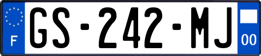 GS-242-MJ