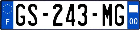 GS-243-MG