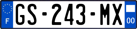 GS-243-MX
