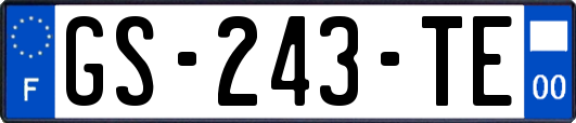 GS-243-TE