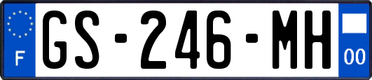 GS-246-MH
