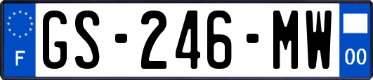 GS-246-MW