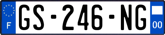 GS-246-NG