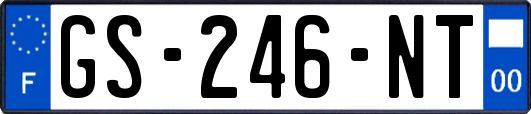 GS-246-NT
