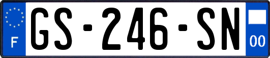 GS-246-SN
