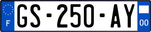 GS-250-AY