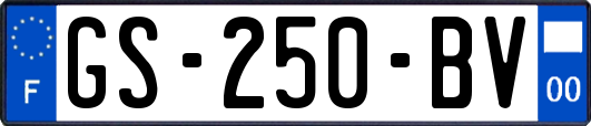 GS-250-BV