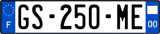 GS-250-ME