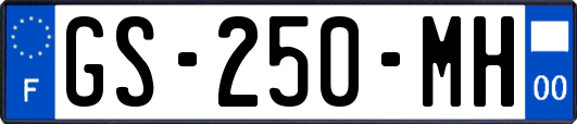 GS-250-MH