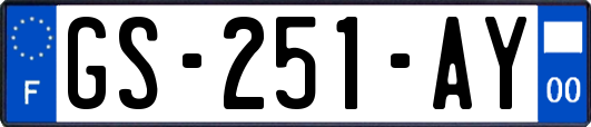 GS-251-AY