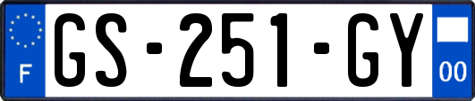 GS-251-GY