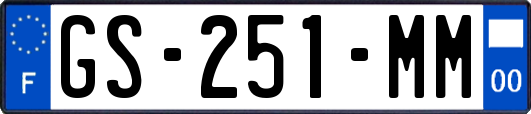 GS-251-MM