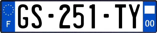 GS-251-TY