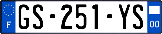 GS-251-YS