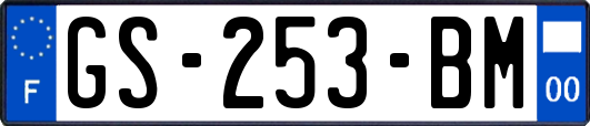 GS-253-BM