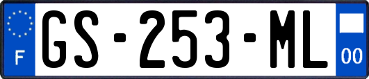 GS-253-ML