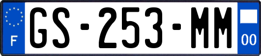 GS-253-MM