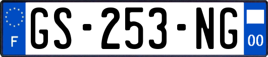 GS-253-NG