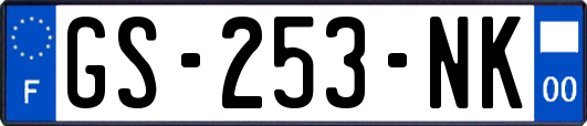 GS-253-NK