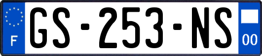 GS-253-NS