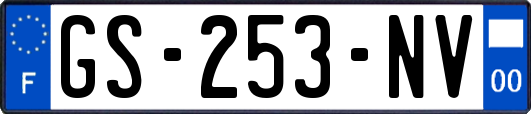 GS-253-NV