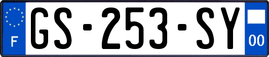 GS-253-SY
