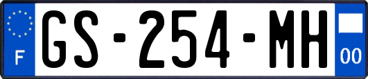 GS-254-MH