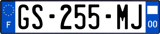 GS-255-MJ